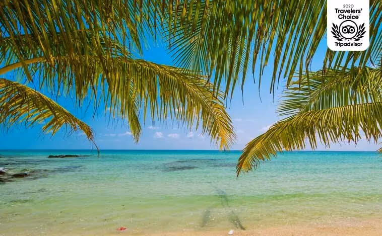 El servicio de Transporte de Cancún a Akumal más seguro y confiable