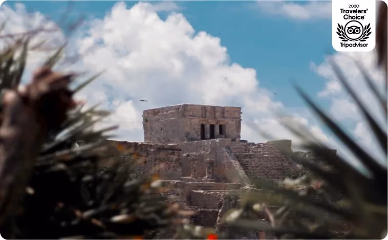 Transporte seguro y confiable de cancun a tulum